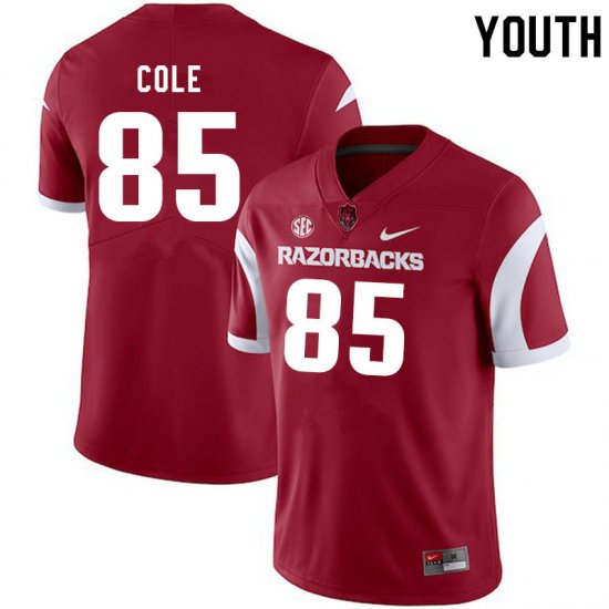 Youth GameDay Harper Cole #85 Arkansas Stitched College Football Jersey