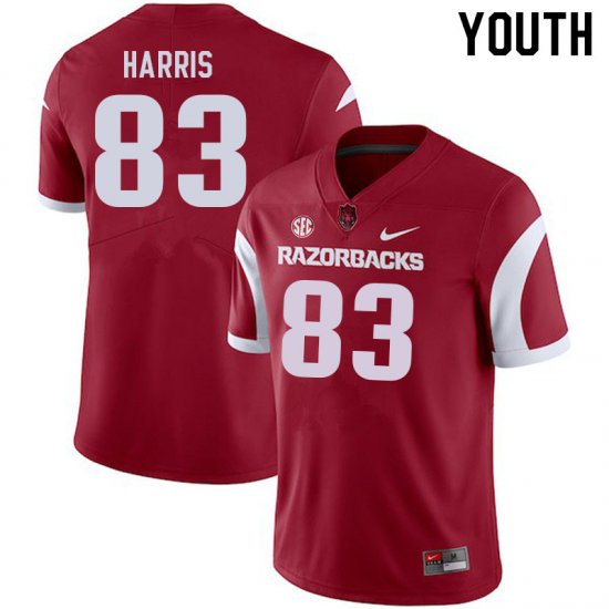 Youth GameDay Chris Harris #83 Arkansas Stitched College Football Jersey