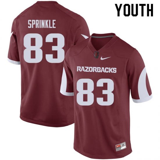 Youth GameDay Jeremy Sprinkle #83 Arkansas Stitched College Football Jersey