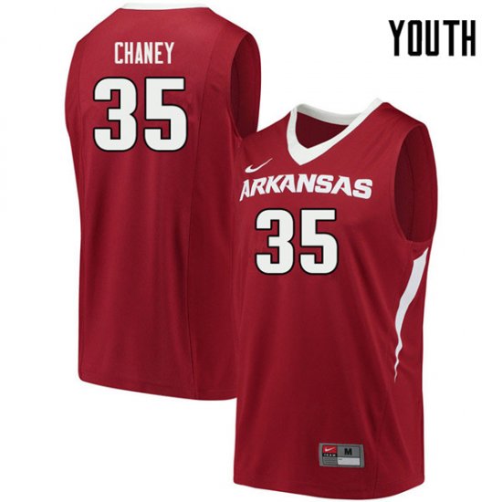 Youth GameDay Reggie Chaney #35 Arkansas Stitched College Basketball Jersey